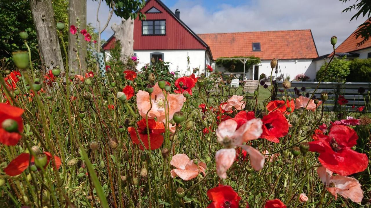 Garden Mellan Slotten Svarte ภายนอก รูปภาพ