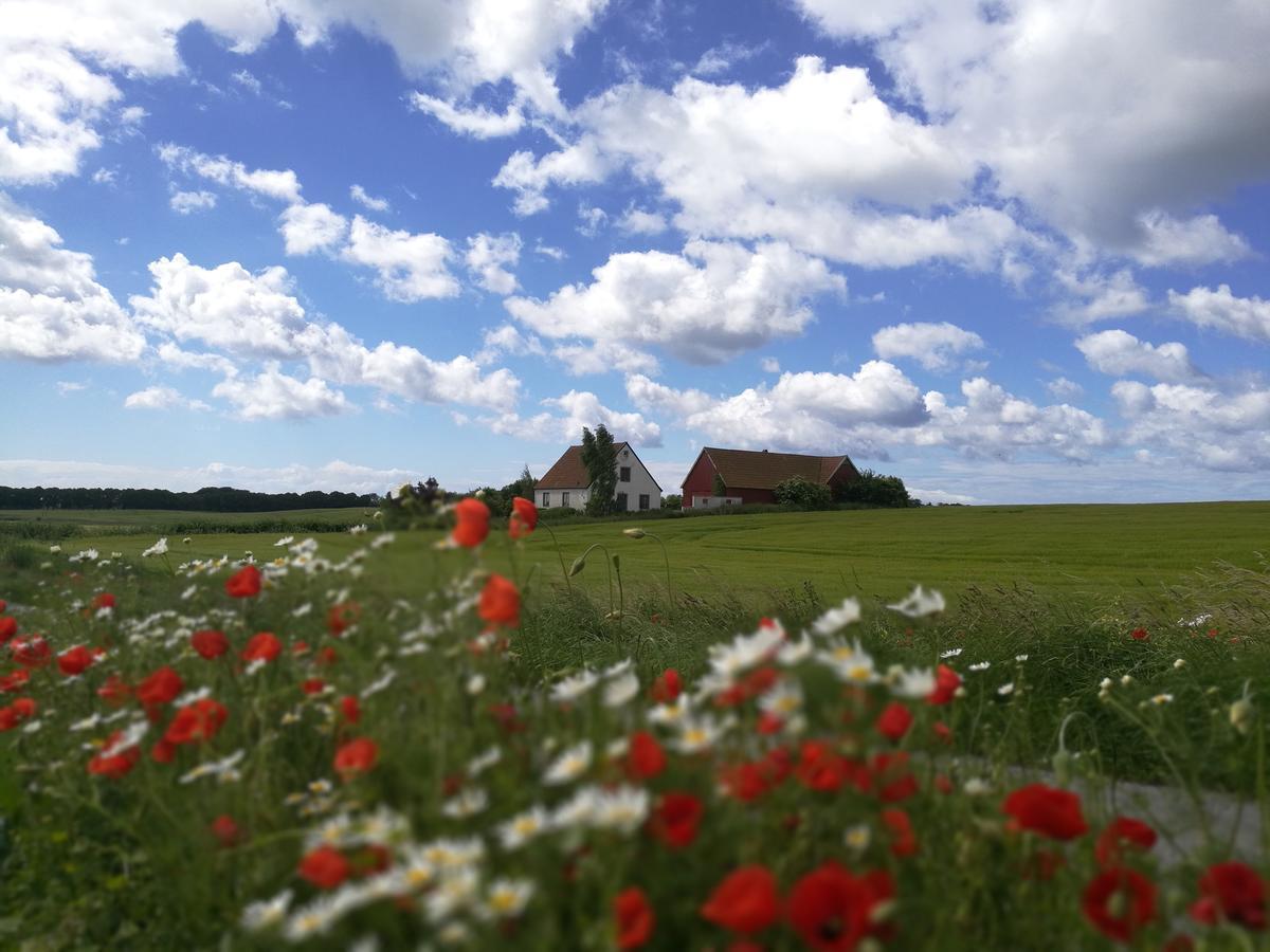 Garden Mellan Slotten Svarte ภายนอก รูปภาพ