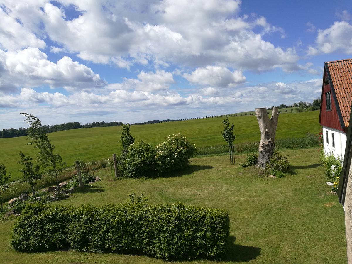 Garden Mellan Slotten Svarte ภายนอก รูปภาพ