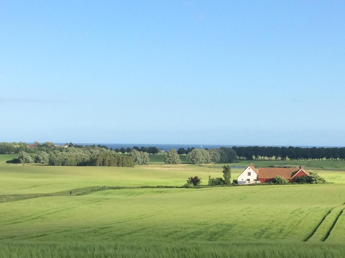 Garden Mellan Slotten Svarte ภายนอก รูปภาพ