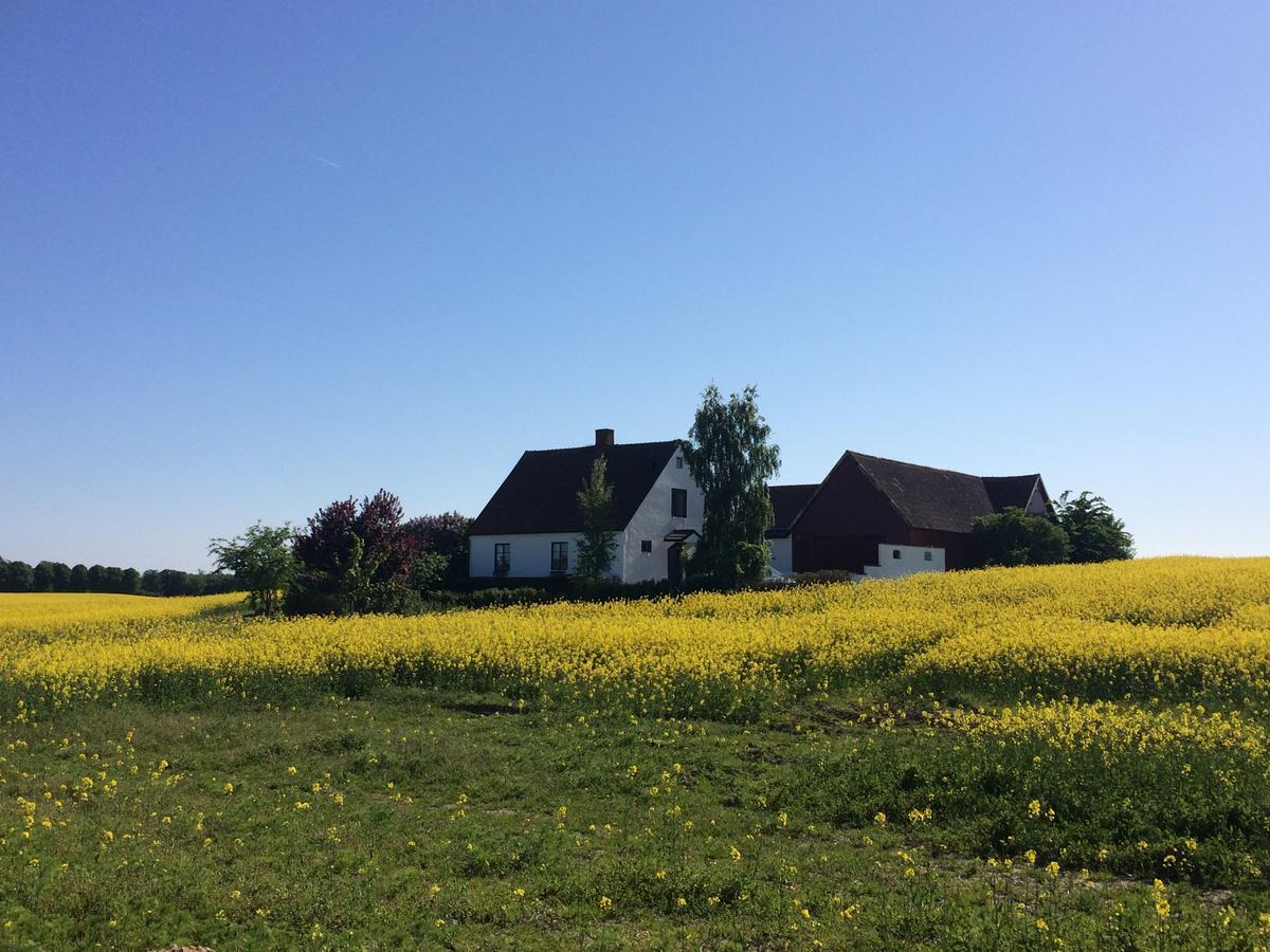 Garden Mellan Slotten Svarte ภายนอก รูปภาพ