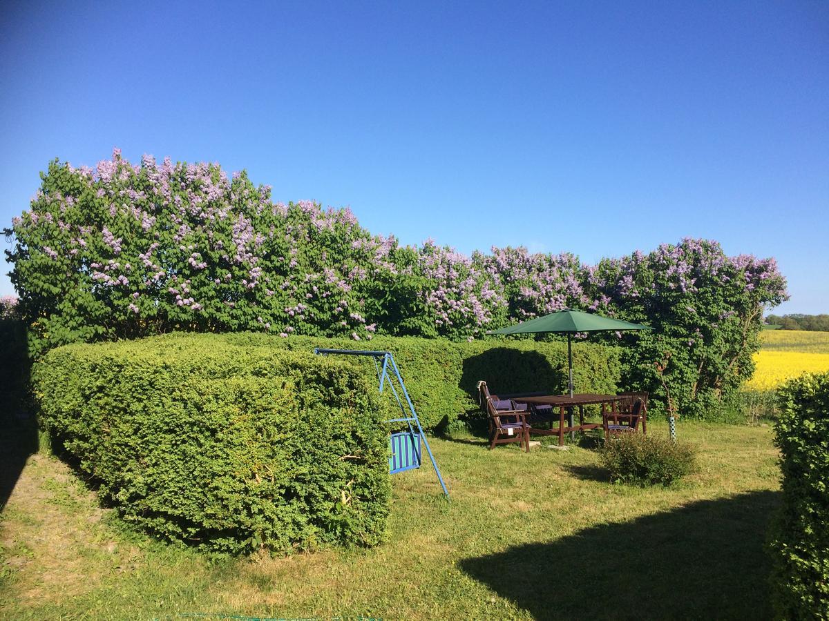 Garden Mellan Slotten Svarte ภายนอก รูปภาพ