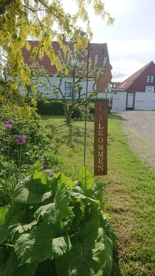 Garden Mellan Slotten Svarte ภายนอก รูปภาพ